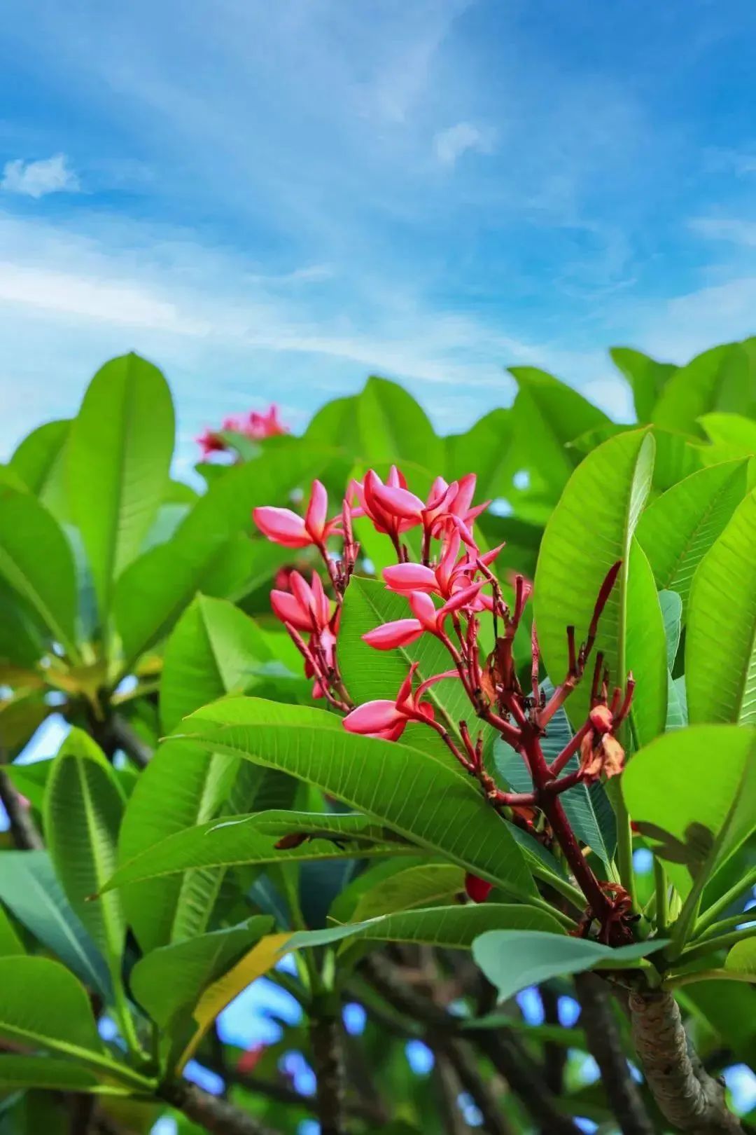 1688097859895434.jpg 1.jpg