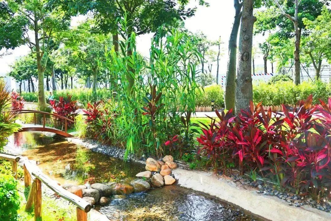 1688097926103186.jpg 3.jpg