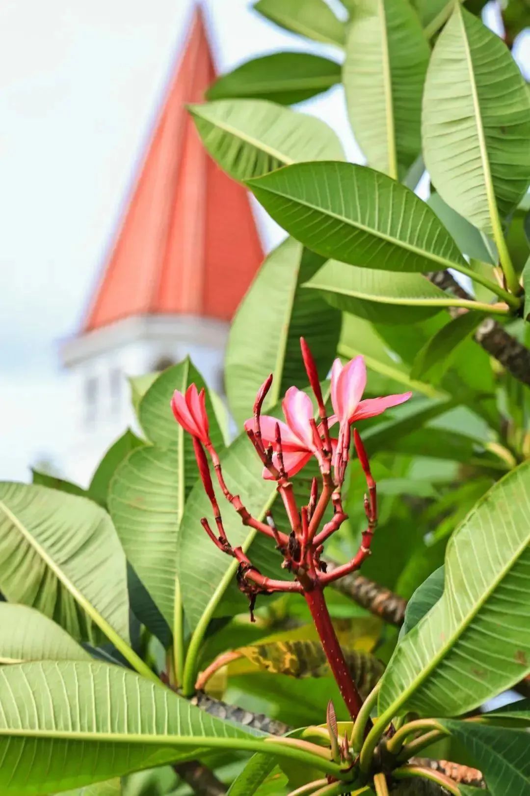 1688098025198630.jpg 8.jpg