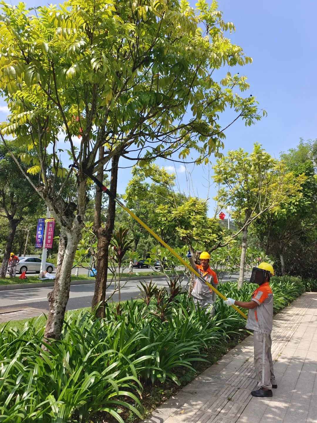 1695367947955051.jpg 1.jpg