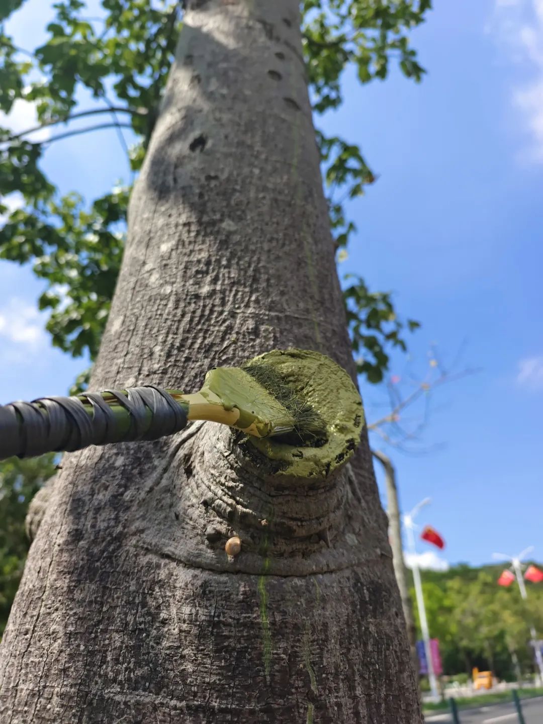 1695368178266795.jpg 15.jpg