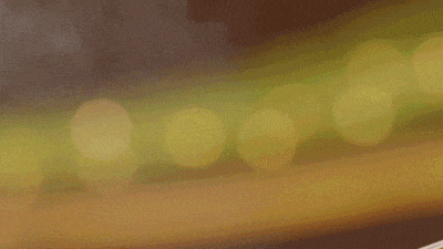 1699932672547527.gif 26.gif