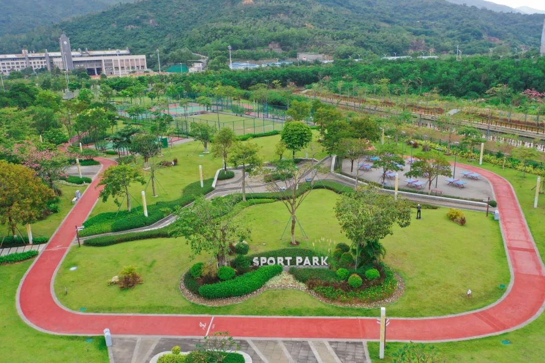 1700553867736082.jpg 8.jpg