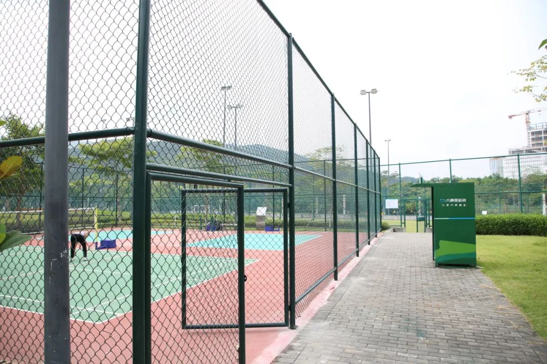 1700553920424551.jpg 10.jpg