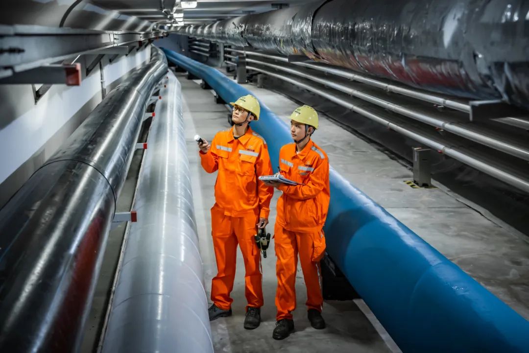 1701312056353800.jpg 10.jpg