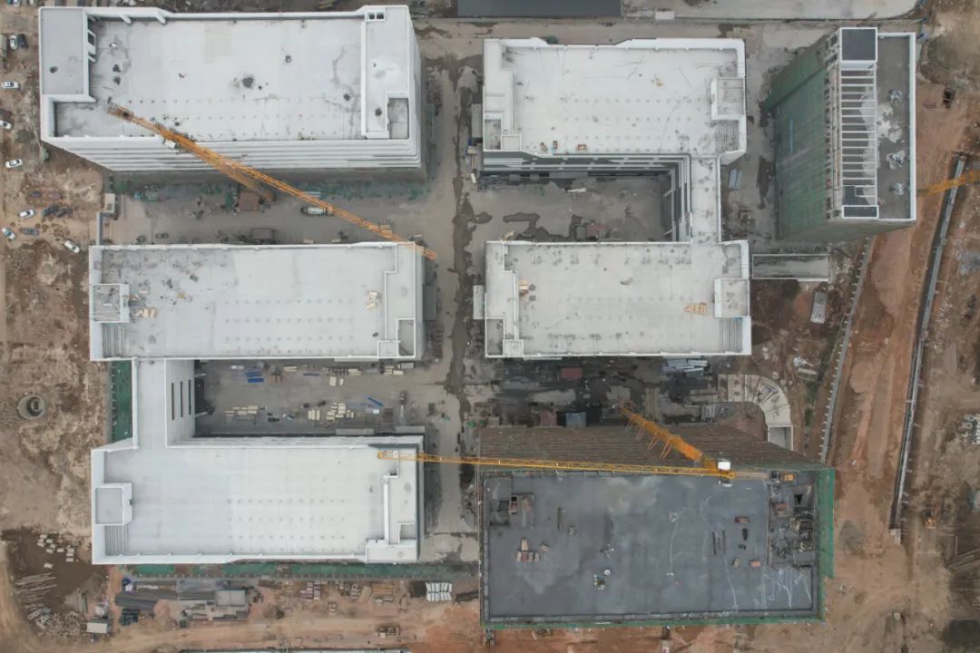 1703471511683474.jpg 1.jpg