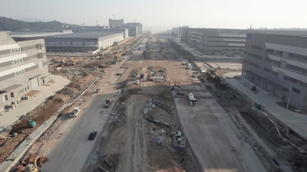 1707099912723631.jpg 7.jpg