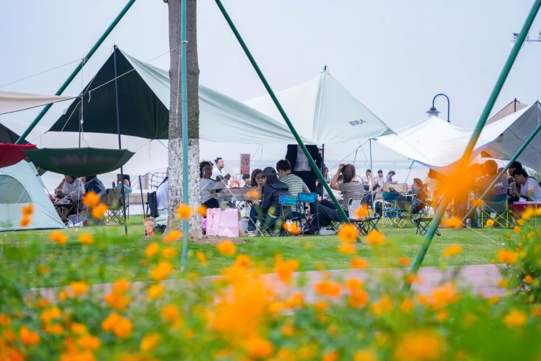 1715326806758592.jpg 4.jpg