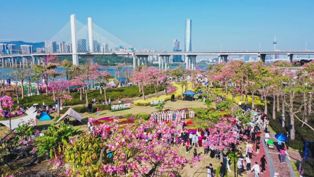 1721011185942071.jpg 8.jpg