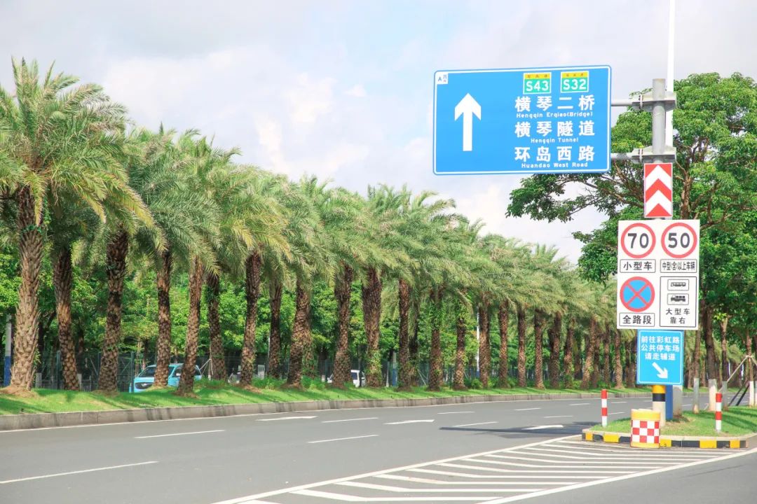 1721012555230413.jpg 9.jpg