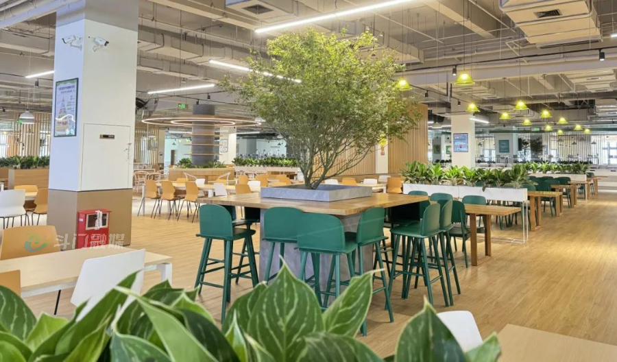 1728529536439361.png 11.png