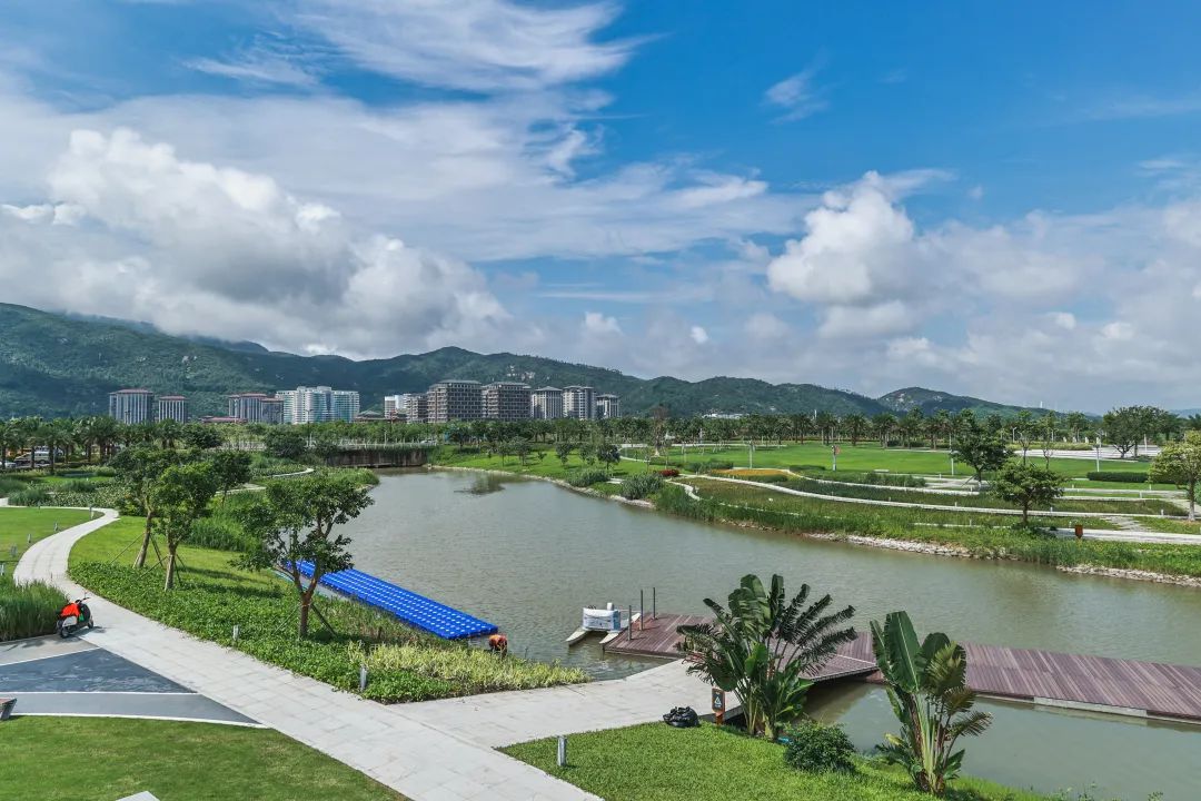 1733473787409126.jpg 2.jpg